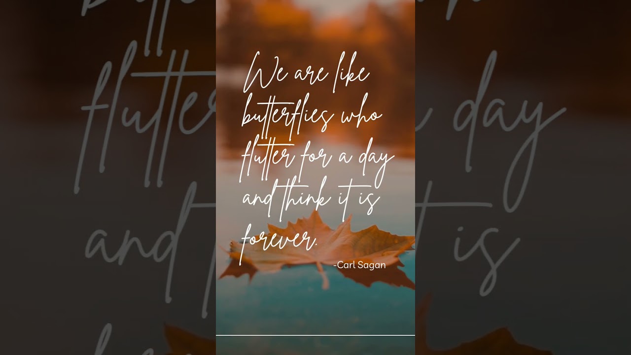 Embrace the fleeting beauty of life 🦋⏳