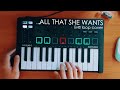Ace of base  all that she wants live loop cover  minilab 3