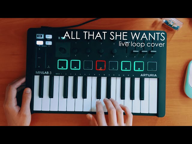 Ace of Base - All That She Wants (Live Loop Cover) | Minilab 3 class=