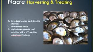 Nacre Dental Fillings