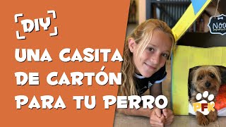 CONSTRUYE UNA CASA PARA TU PERRO - PETS FAMILY KIDS