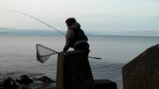 海サクラマス 20100510.mov