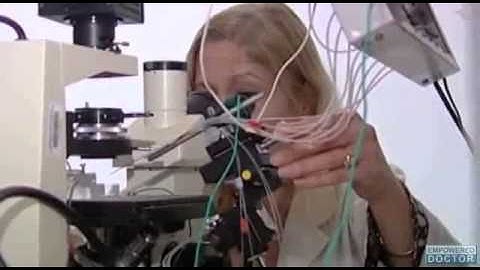 Vitamin D Deficiency May Damage the Brain