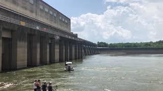 Below the lake Barkley dam - Asian Carp