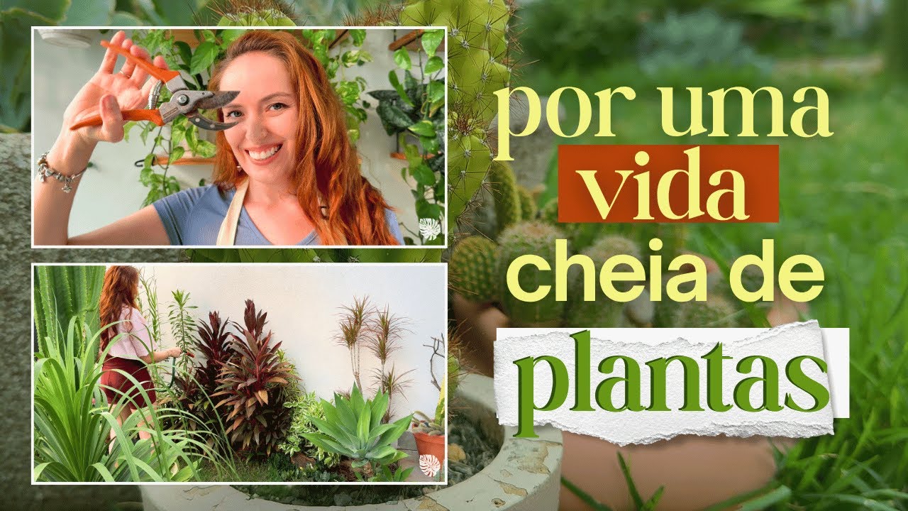 De um hobby nasceu um propósito: por uma vida cheia de verde
