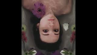 flower face - virgin (slowed   reverb)