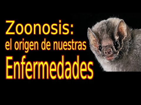 Where do diseases come from? - Zoonosis