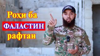 Чигуна ба Фаластин рафта метавонем?! | Мухсин тч