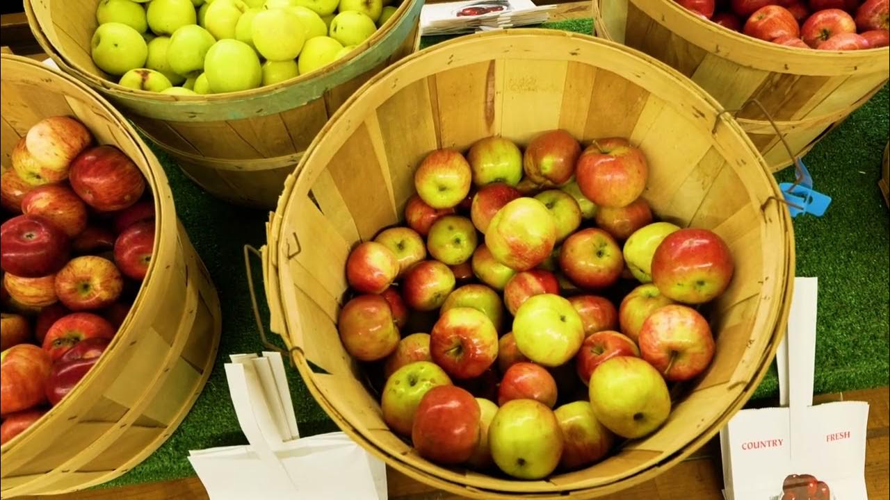ADTV Segment featuring The Property Farms & McCallums Orchard as well