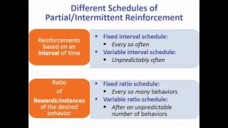 Exploring Psych Ch 7 Delayed reinforcers
