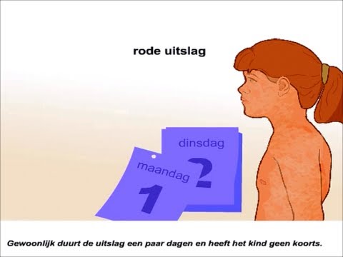 Rode hond - Symptomen en behandeling