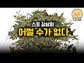 「어쩔수가없다」 스포 감상회 🎬