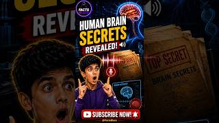 Human Brain Secrets Revealed? 😱🧠 #facts #shorts #humanbrain