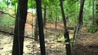 VideoTape 101413 Boar hunting 01 2013 10 19 13 37 08