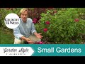 Small Gardens with Big Results | Garden Style 813