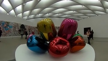 The Broad Museum Ricoh Theta S 360 Guru 360° Stabilizer Jeff Koons Tulips Test Footage