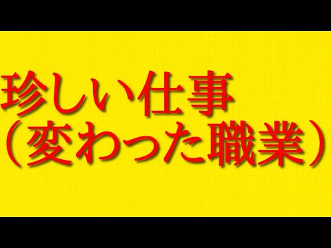 珍しい仕事（変わった職業）が高収入という内容について話してみた！