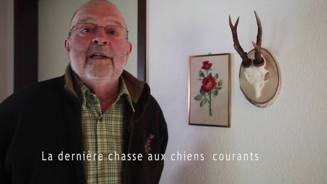 Le chien Courant Suisse par Jean-Pierre Boegli