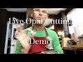 Live cutting a large opal from start to finish