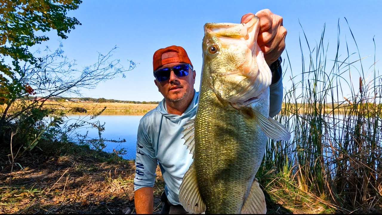 Catching FALL Bass Fishing an UNPRESSURED Pond