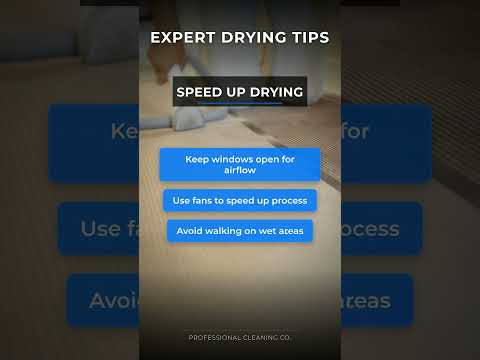 Why Does One Carpet Dry Faster Than Another