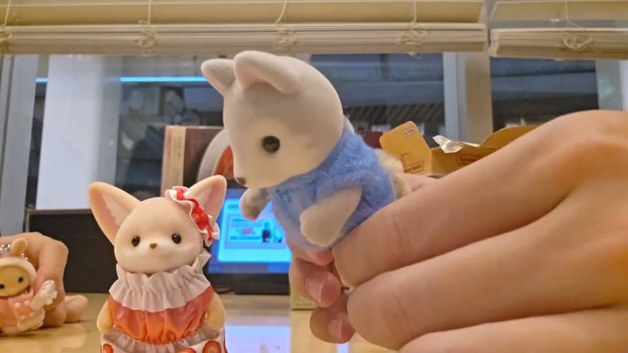 シルバニア初心者🔰開封動画🎀