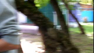DSCF2451