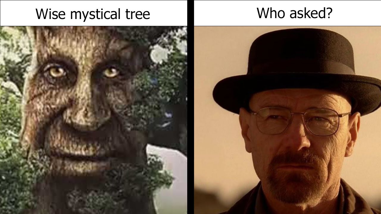 wise mystical tree meme origin｜TikTok Search