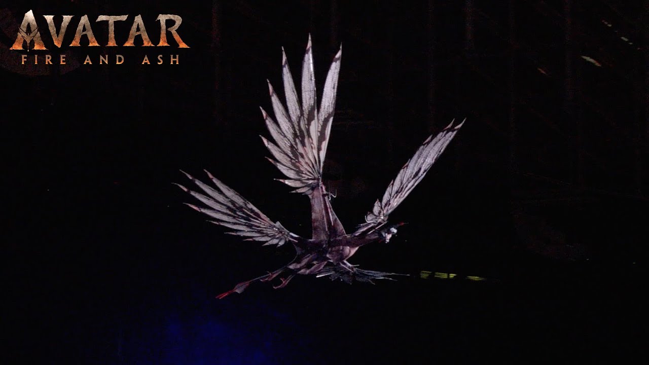 In Theatres December 19