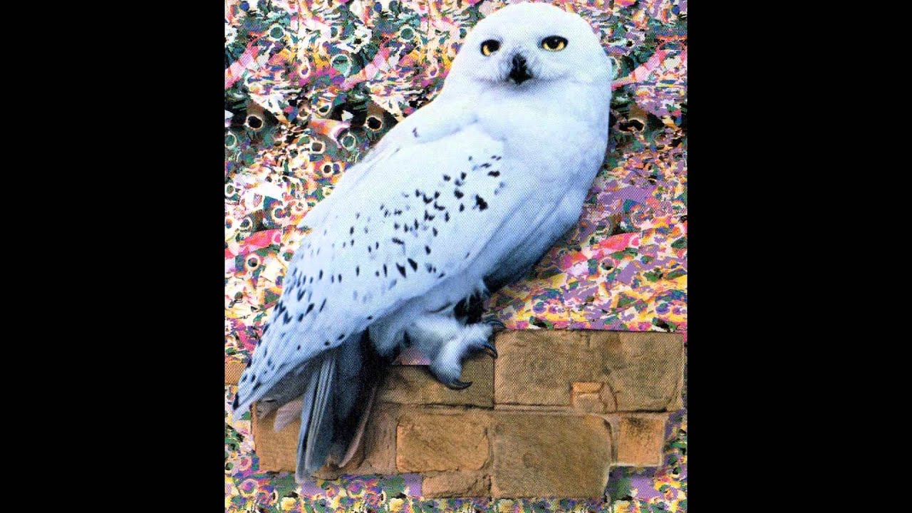 Harry Potter Hedwig Theme Alto Recorder YouTube