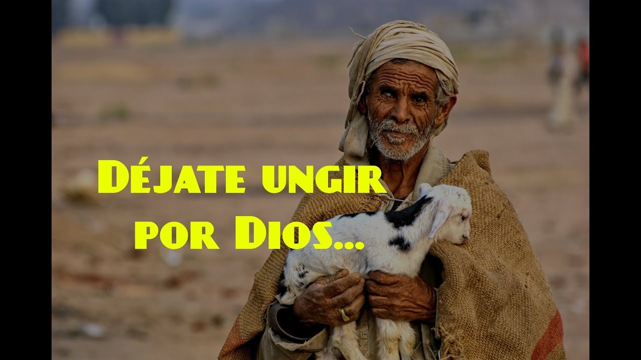 ¿TE SIENTES ATORMENTADO? Domingo XVI semana del Tiempo Ordinario, ciclo B (Mc 6,30-34) meditacion para principiantes