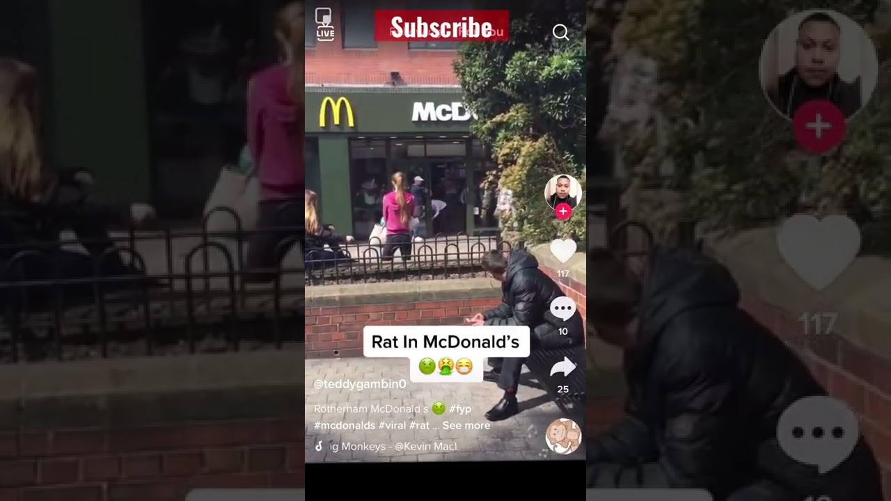 Rat 🐀 in fastfood restaurant 