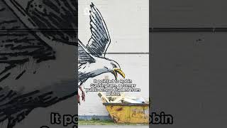 The Evidence Behind Banksy’s Possible Identity
Researchers and journalists have spent years attempting to identify Banksy.
From geographic profiling studies to documented connections, multiple lines of evidence point toward Robin Gunningham — though the claim remains unverified.
#Banksy #ArtInvestigation #StreetArt #ArtHistory #Documentary The Evidence Behind Banksy’s Possible Identity