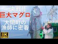 【巨大マグロ】総額200万円!? 津軽海峡で戦う漁師に密着【青森県大間町】8K 空撮あり
