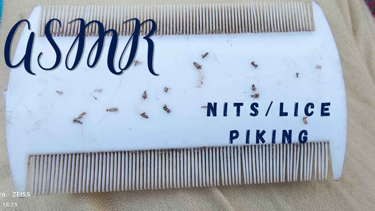 Nits/lice piking #ASMRSajida