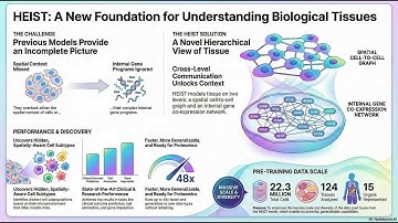 HEIST: Hierarchical Graph Foundation for Spatial Omics
