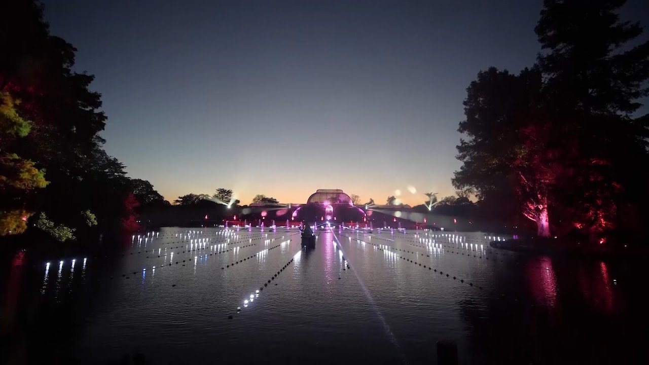 Spectacular festive light show twinkles at Kew Gardens