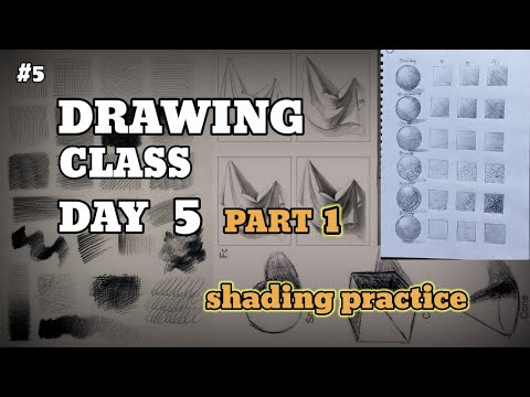 DRAWING CLASS DAY 5 // #beginners #drawing - YouTube