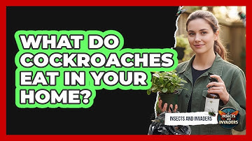 What Do Cockroaches Eat In Your Home? - Insects and Invaders