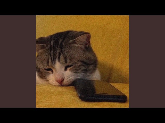 stalk ur socials (slowed)