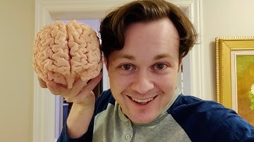 My actual brain, 3D printed at 100% scale