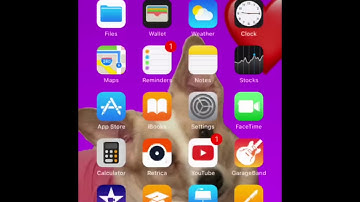 The most Annoying Bug In iOS 11 Beta 2 😐