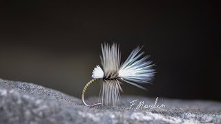 Fly tying a Dry fly, hackle work and peacock quills with Fabien Moulin