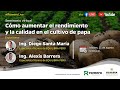 Cómo aumentar el rendimiento y la calidad en el cultivo de papa