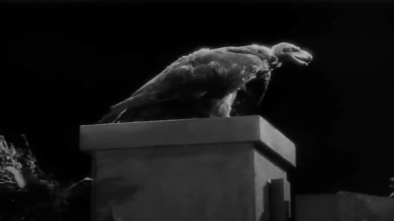 White Zombie (1932), but only the vulture