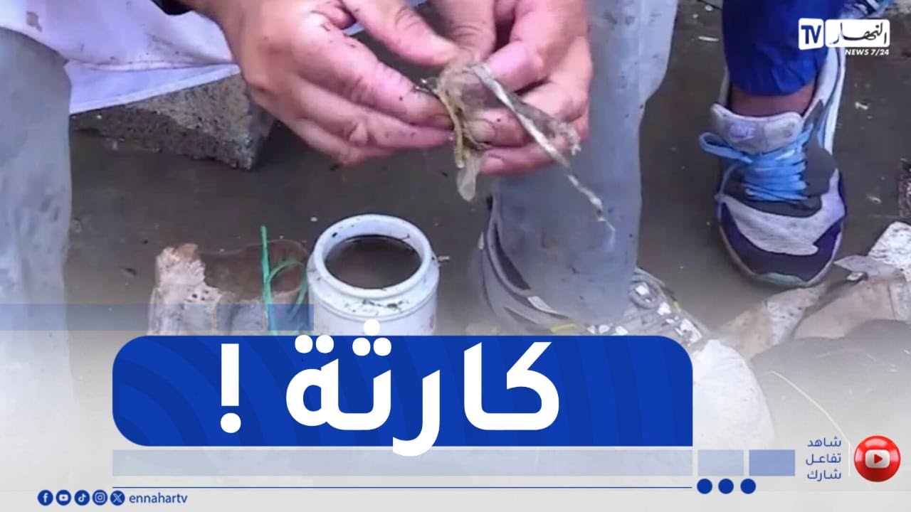 أم البواقي / هذا ما عثر عليه خلال حملة التنظيف .. حرمة المقابر تنتهك !
