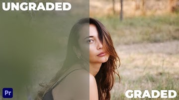 Fujifilm X-T4 F-Log Color Grading Test Footage with Film Convert