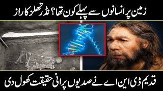 Ancient Dna Finally Reveals A Strange Discovery About Their True Origins