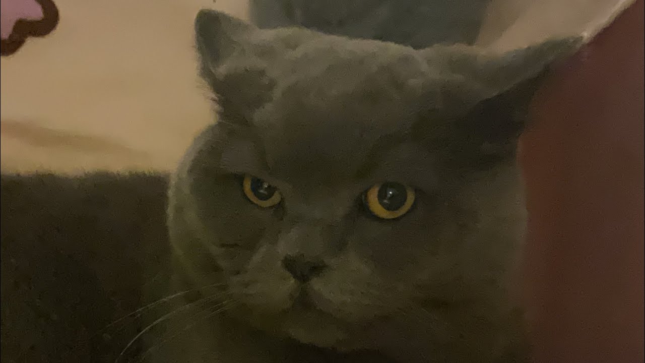 Umboxing moich książek wojo trochę późno bo już czytam „misja ognistej gwiazdy” XD 