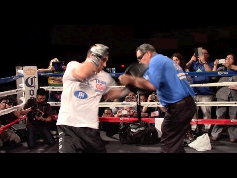 boxing power pad